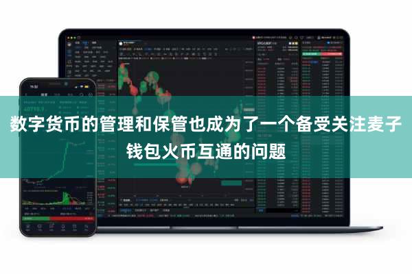 数字货币的管理和保管也成为了一个备受关注麦子钱包火币互通的问题