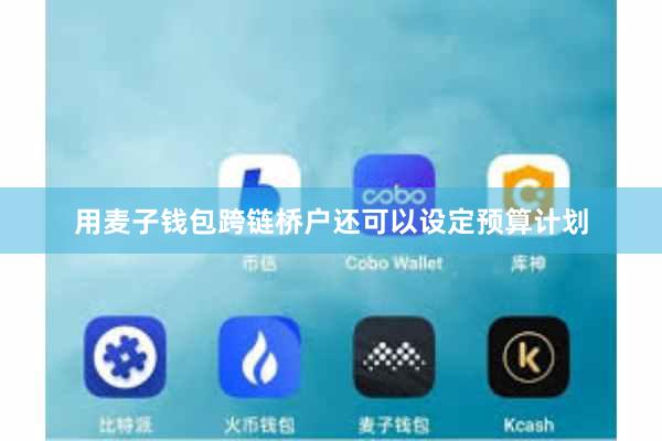 用麦子钱包跨链桥户还可以设定预算计划