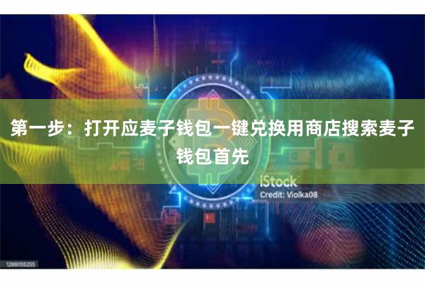 第一步：打开应麦子钱包一键兑换用商店搜索麦子钱包首先