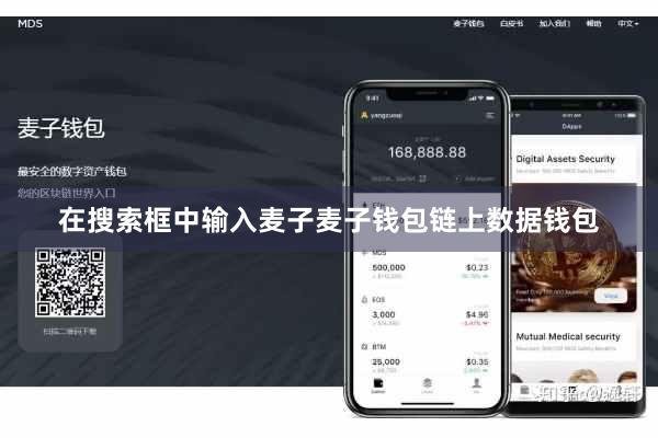 在搜索框中输入麦子麦子钱包链上数据钱包