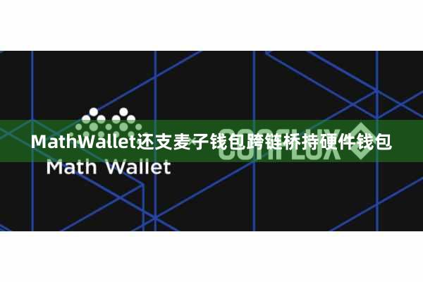 MathWallet还支麦子钱包跨链桥持硬件钱包