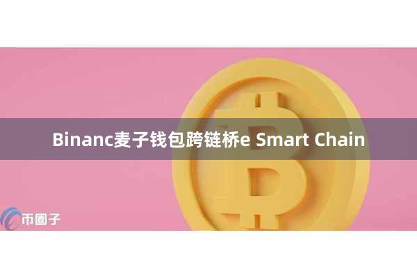 Binanc麦子钱包跨链桥e Smart Chain