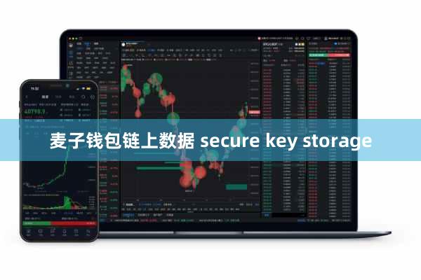 麦子钱包链上数据 secure key storage
