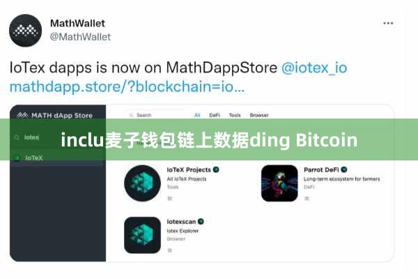 inclu麦子钱包链上数据ding Bitcoin