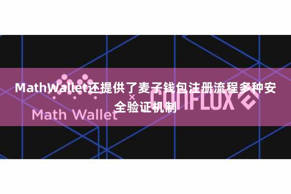 MathWallet还提供了麦子钱包注册流程多种安全验证机制