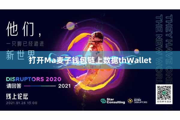 打开Ma麦子钱包链上数据thWallet