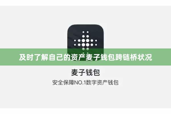 及时了解自己的资产麦子钱包跨链桥状况