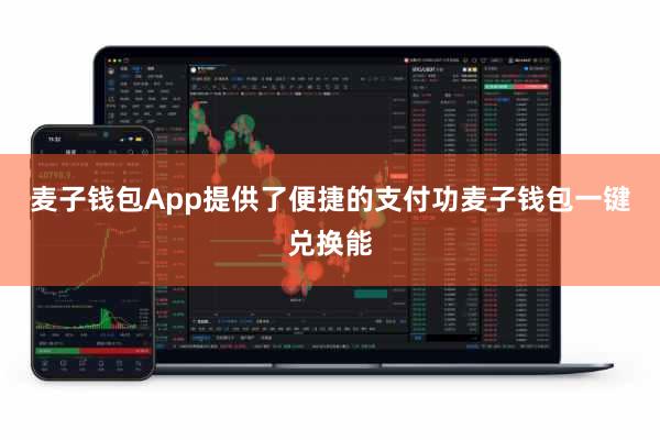 麦子钱包App提供了便捷的支付功麦子钱包一键兑换能