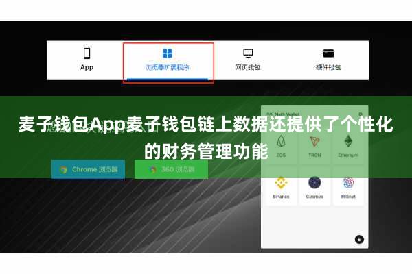 麦子钱包App麦子钱包链上数据还提供了个性化的财务管理功能