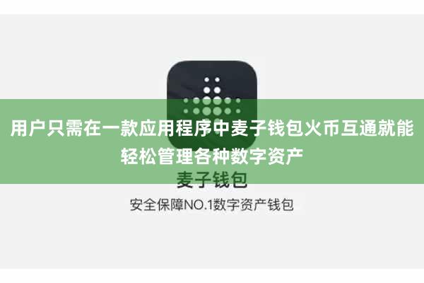 用户只需在一款应用程序中麦子钱包火币互通就能轻松管理各种数字资产
