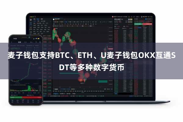 麦子钱包支持BTC、ETH、U麦子钱包OKX互通SDT等多种数字货币