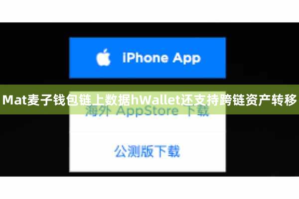 Mat麦子钱包链上数据hWallet还支持跨链资产转移